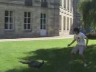 Hugues et le dindon au chateau vol.1