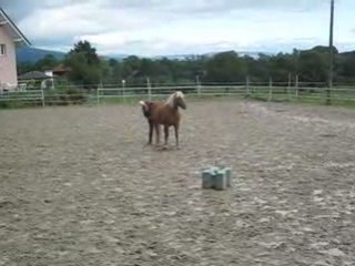 Wodka reculé par aspiration