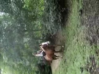 saut en amazone à cru avec Otto