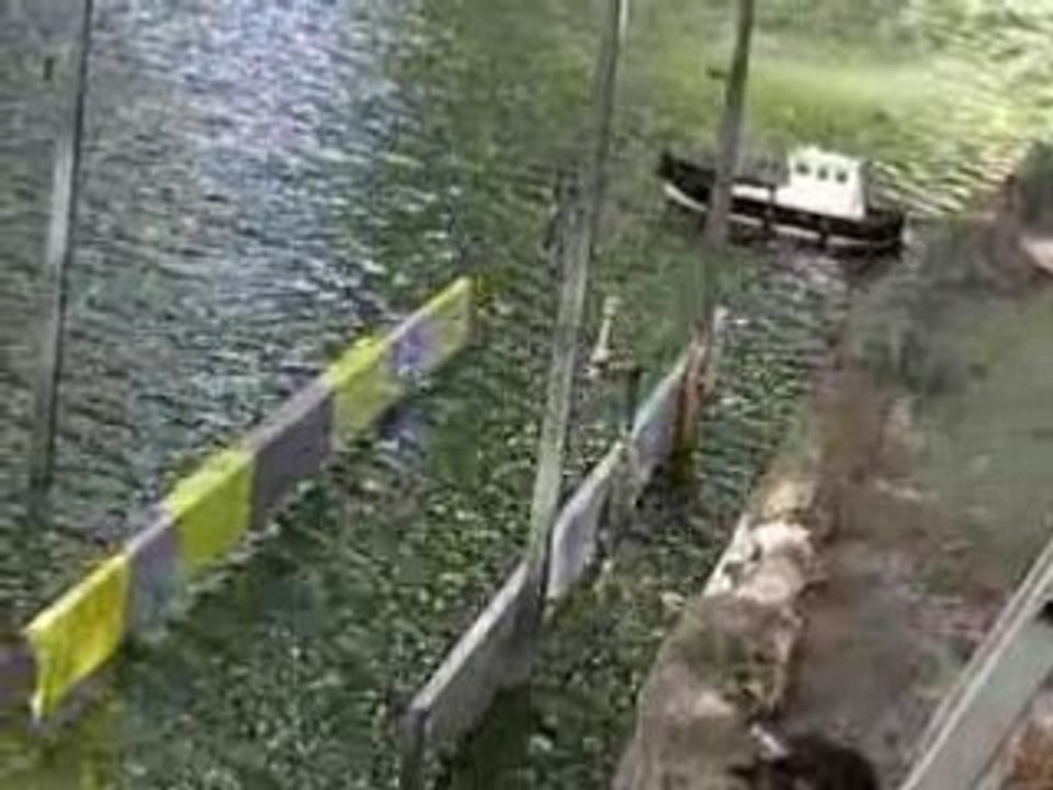 La fête des bateaux