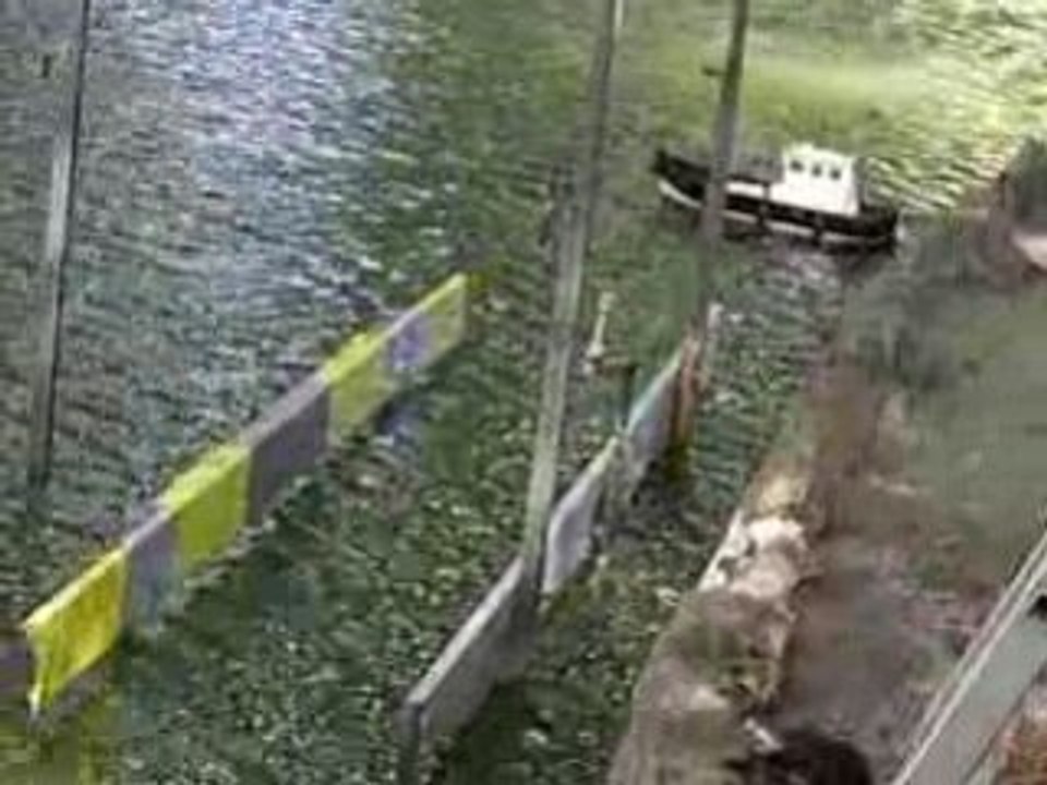 La fête des bateaux
