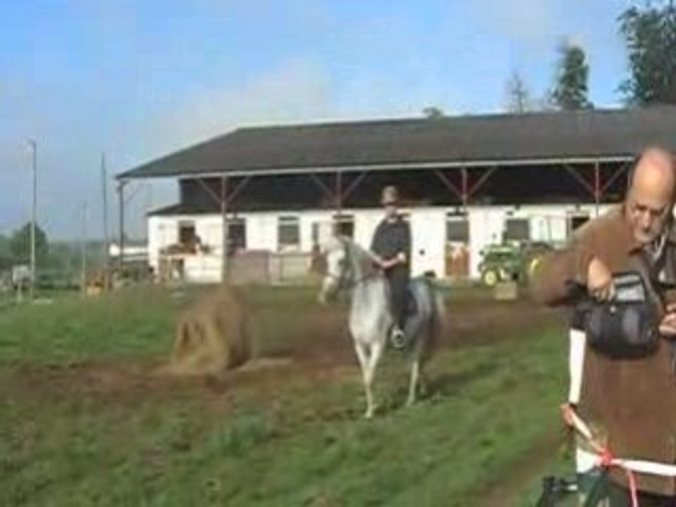 Moi et Thelma marche vers padock