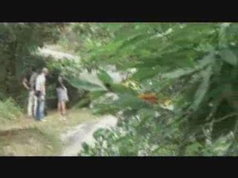 rally cigalois 2008