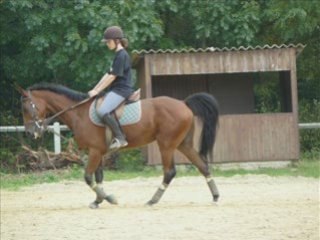 Pacha et Moi Samedi en cours