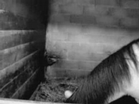 Cristal Ma Petiite Chériie. <3