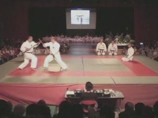 Synthèse du Karate Do Shito Ryu