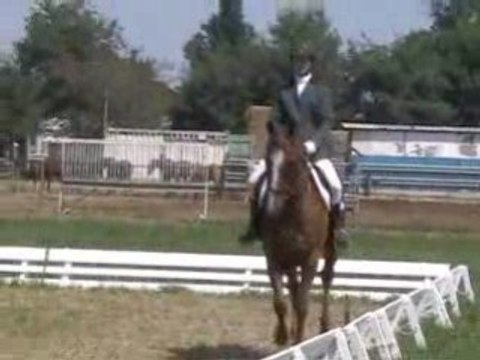 Dressage CCE Lattes