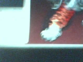 Cool Rock Band Computer Background 🎸