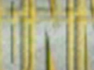 COCAINA 2 TONELADAS,ATRAPAN ASESINOS DE 24 PERSONAS EN MEXIC