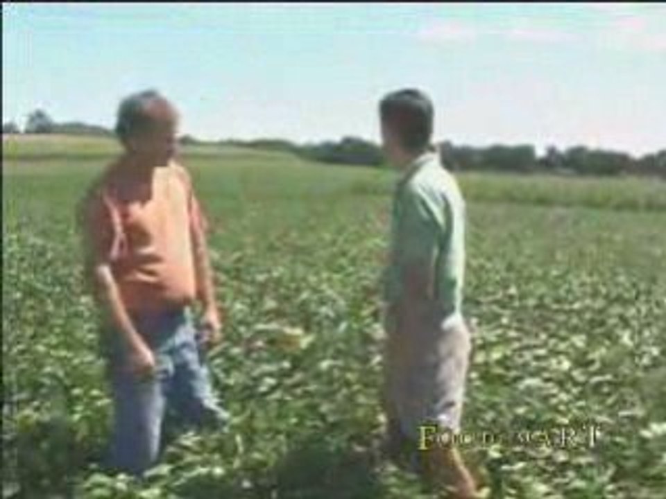 Seniors Can Lose Weight With Healthy Snacks