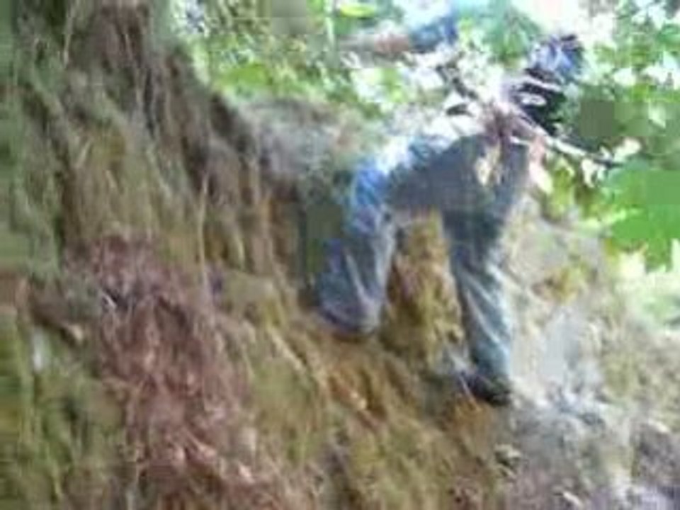 walk in 3 eric