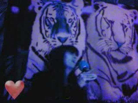 Karaoke What The World Needs Now Is Love Cover Song