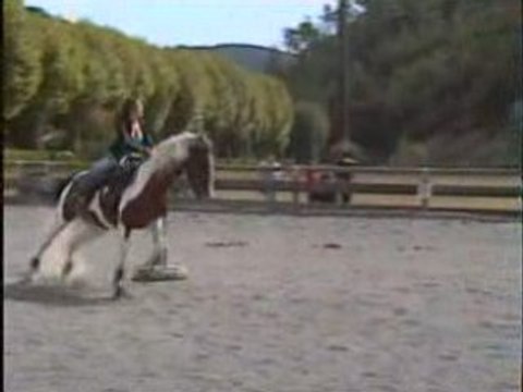 Pole bending levens