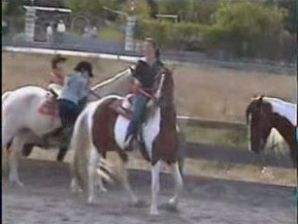 levens barrel racing