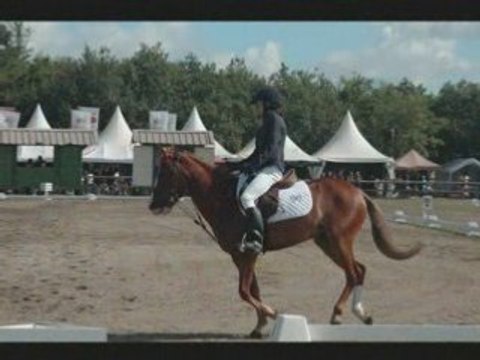 Dressage marion