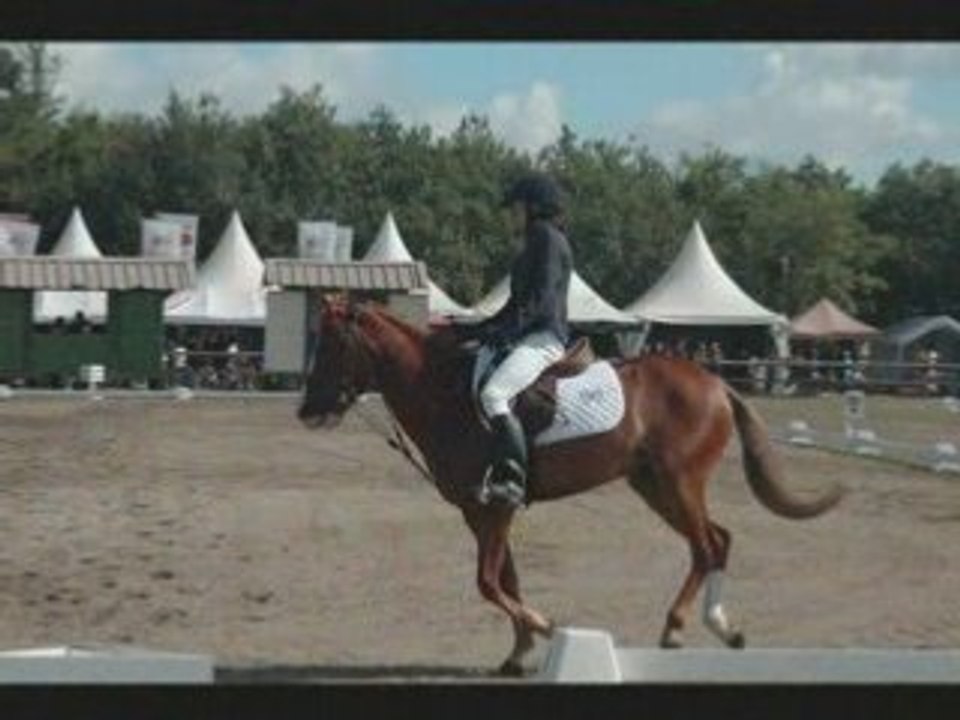 Dressage marion