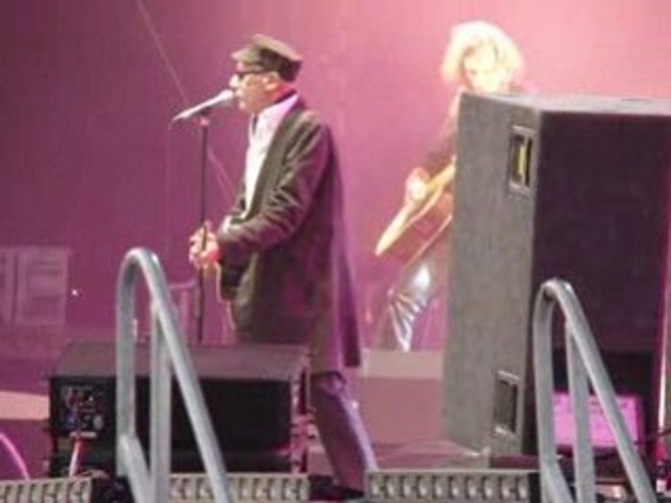 Bashung Fête de l'Huma 2008
