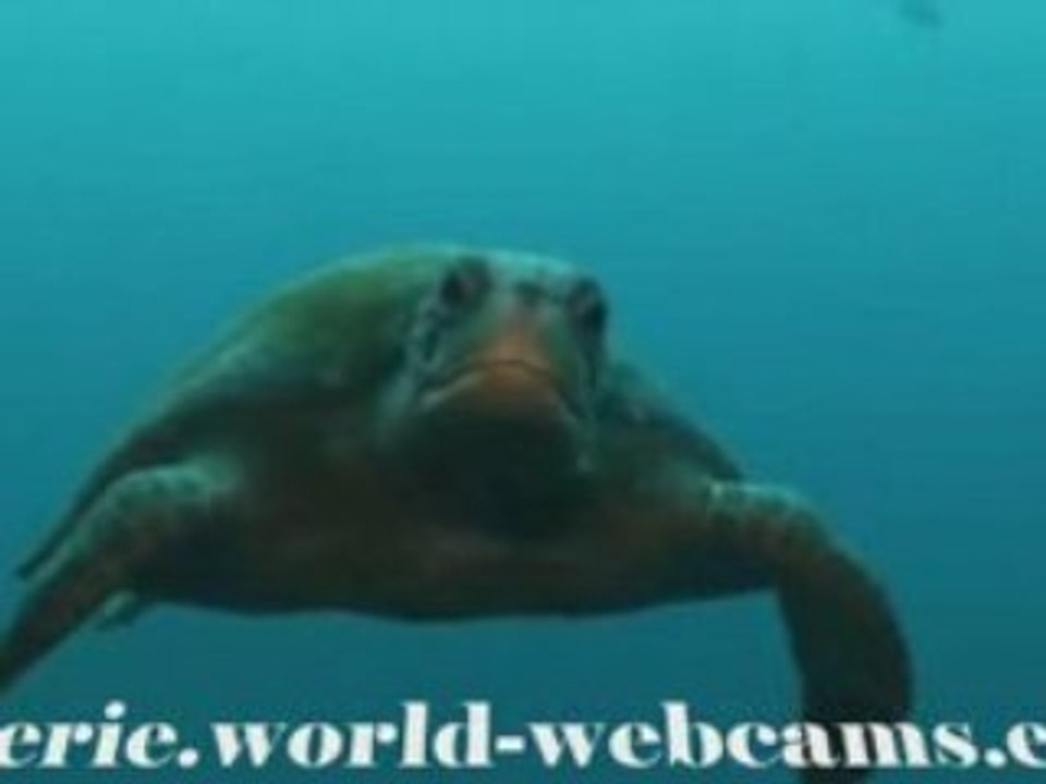 Cocos Islands