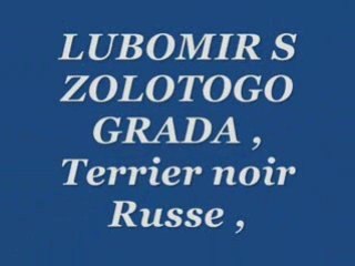 LUBOMIR S ZOLOTOGO GRADA,Terrier Noir Russe