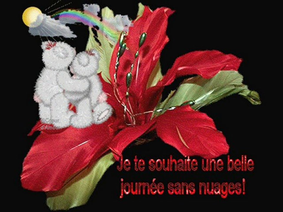 Quelques fleurs...