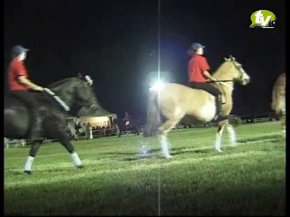 Spectacle équestre à Pompadour