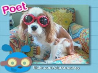 Ultra Kawaii - Doggles!