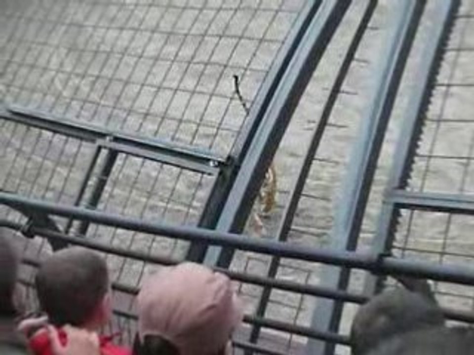 Gladiateurs 12 Puy du Fou