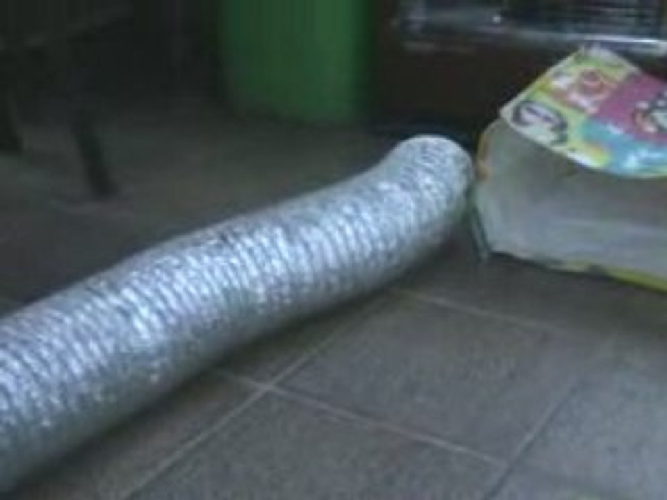 Spyke le saucisson