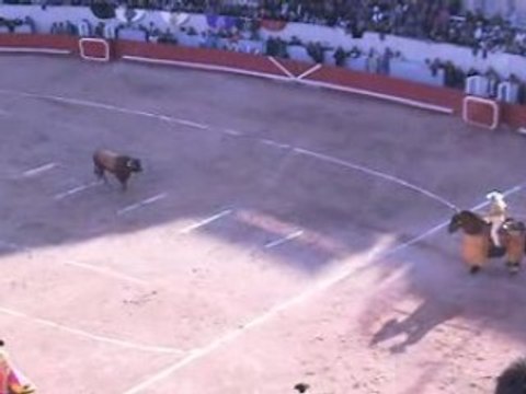 Corrida concours tercio de piques: Miura