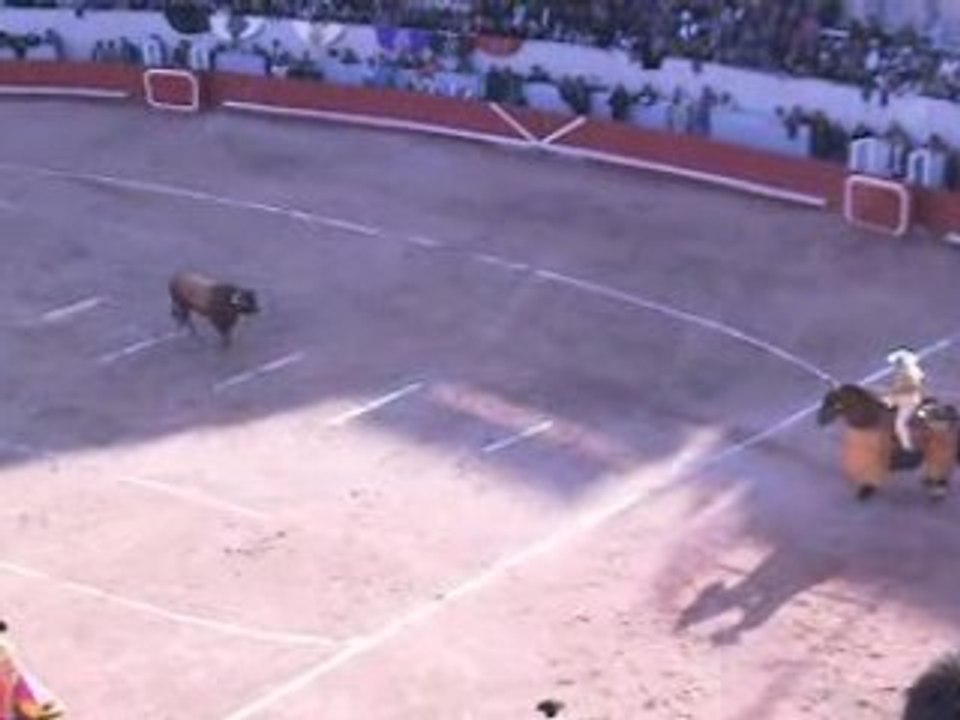 Corrida concours tercio de piques: Miura