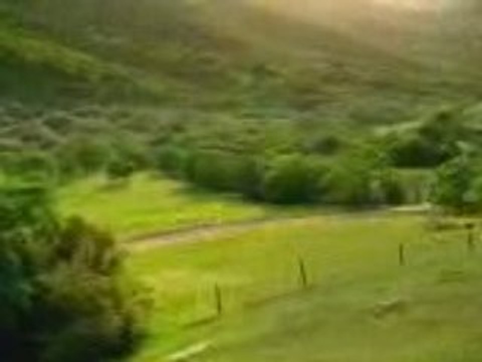Il fau suivre la voiture