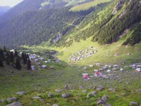 GÖKHAN BİRBEN BASMA YEŞİL ÇİMENE-KAVRUN.TR.GG