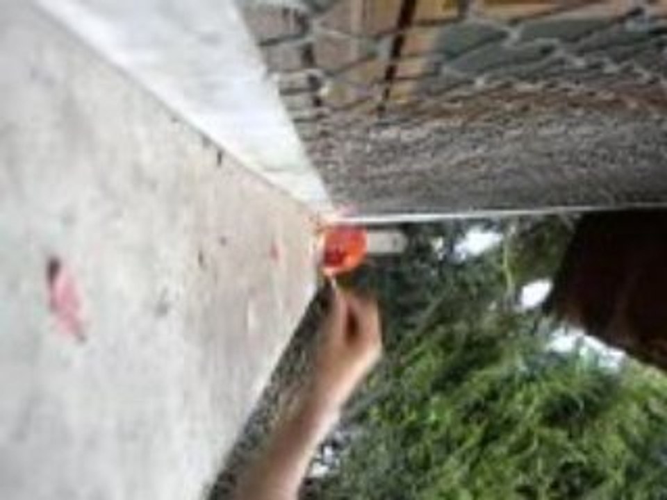 tomato explosioon bimbtest