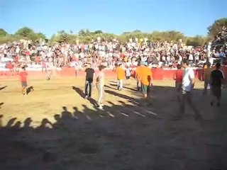 OZENDO CAPEIA ARRAIANA