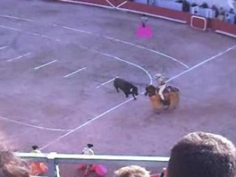 Corrida concours tercio de piques: La Quinta