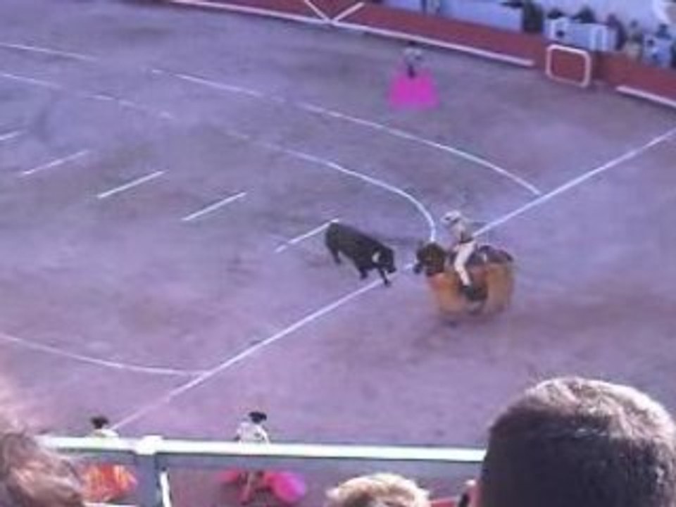 Corrida concours tercio de piques: La Quinta