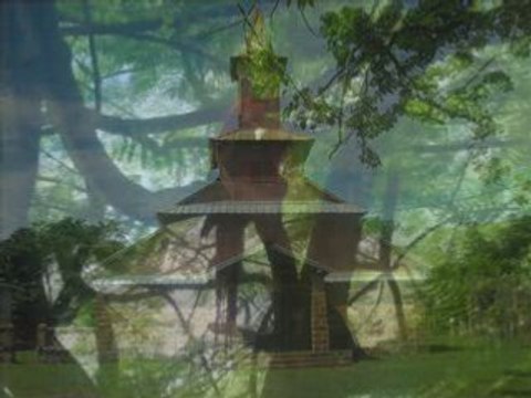 ILES DU SALUT EYES OF TIGER