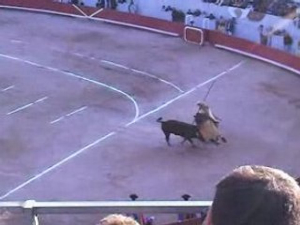 Corrida concours tercio de piques: Guardiola