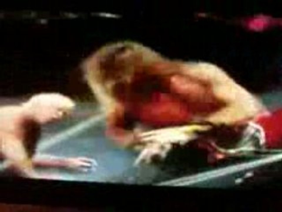 Shawn michaels cascade
