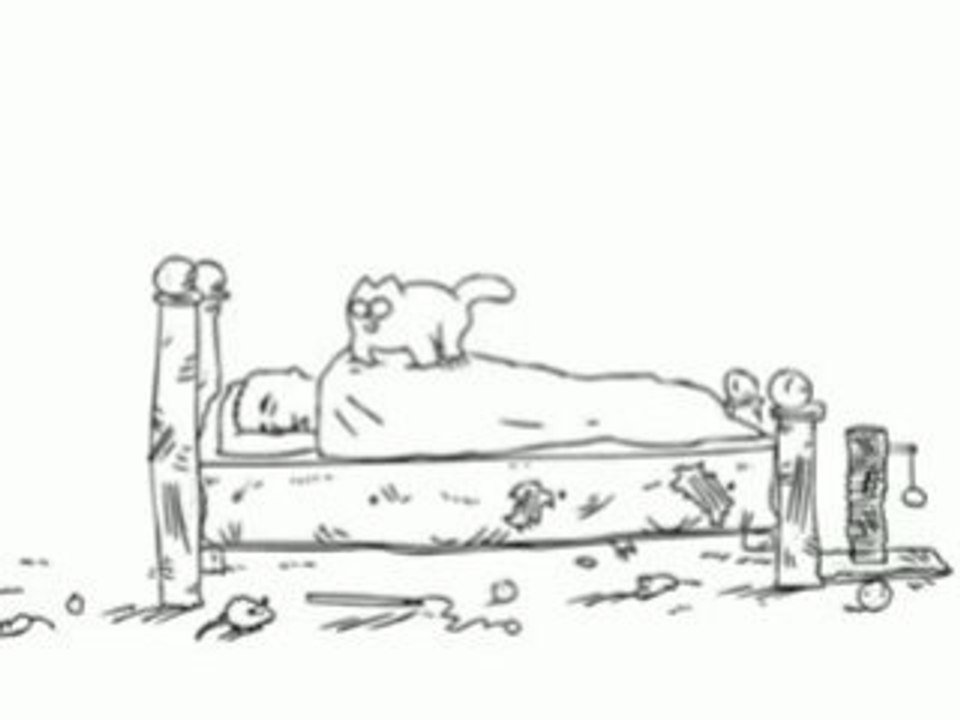 Simon's le  chat