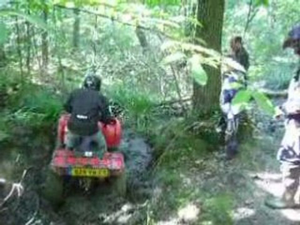IMGP2194