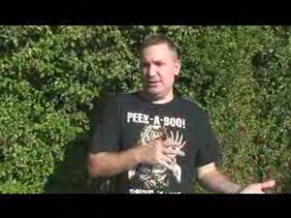 Halloween Contest 2008