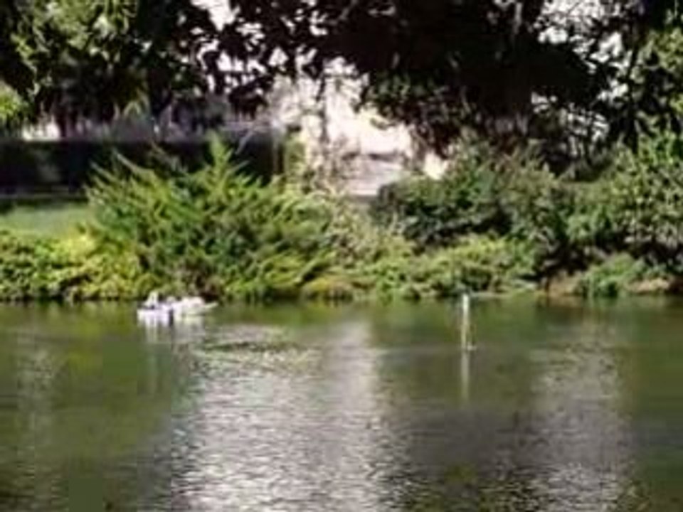 La fête des bateaux