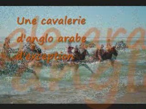 Rando Equestre de deux jours