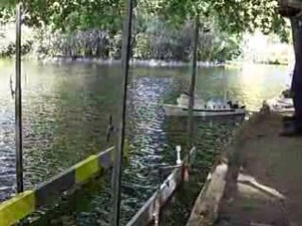 La fête des bateaux 041