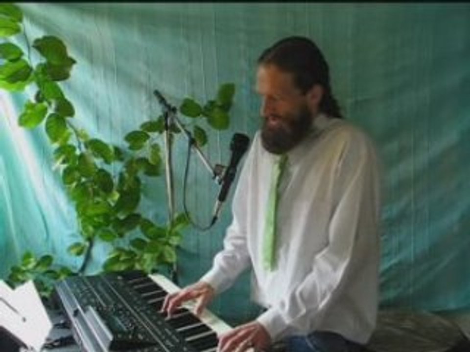 Alleinunterhalter singt und spielt Barmusik