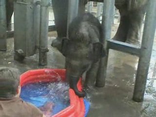 Le premier bain de Jade