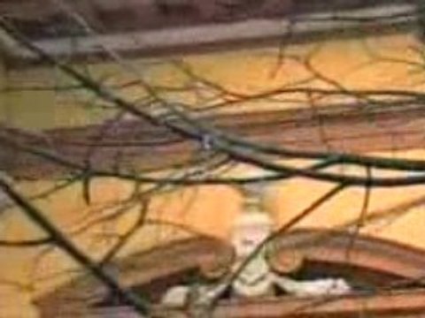 Dejan Matic-Niko i neko