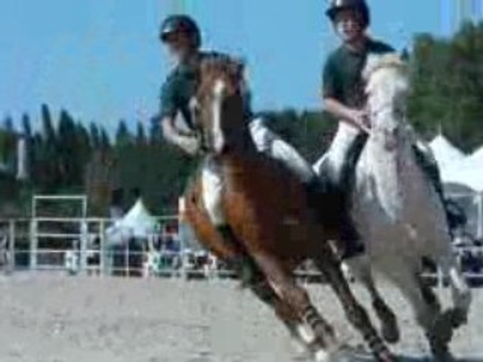 9e RDV etho la CENSE: les incroyables belges !