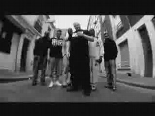 Teaser Assos 2 Dingo